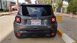 جيب رينيجيد